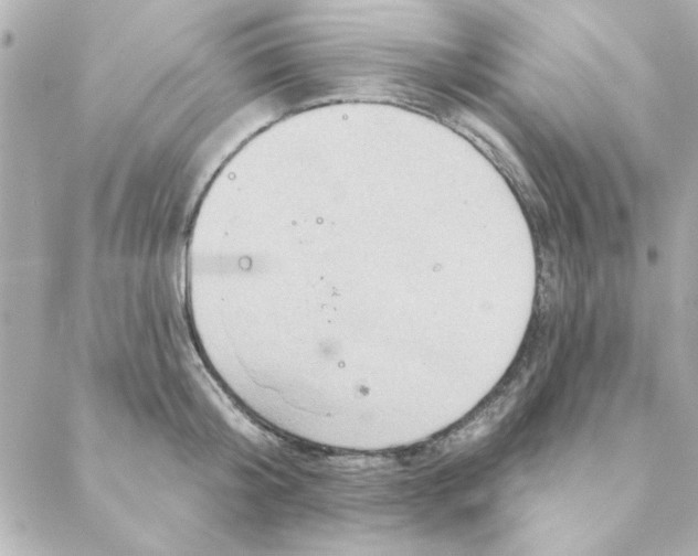 X0000088180804200706051140