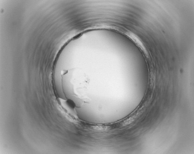 X0000088180805200706051140