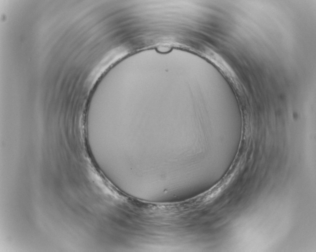 X0000088180806200706051140