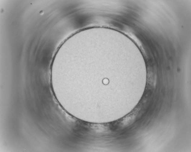 X0000088180807200706051140