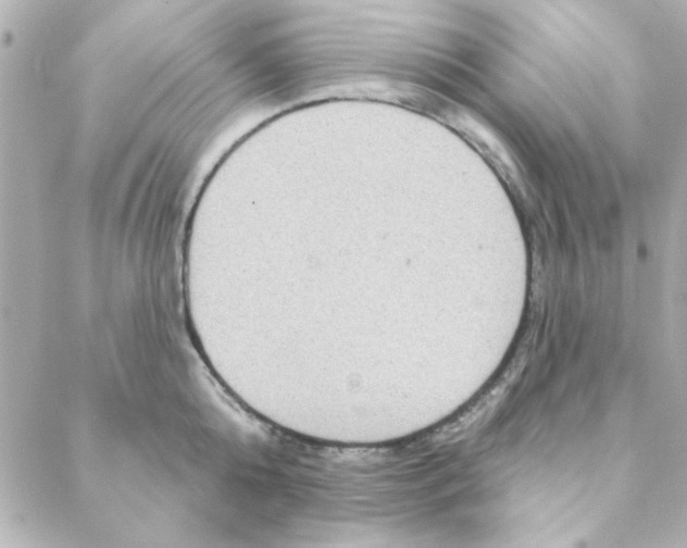 X0000088180808200706051140