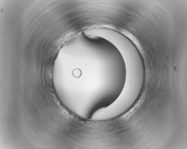 X0000088180809200706051140