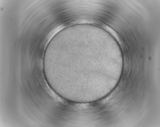 X0000088180810200706051140