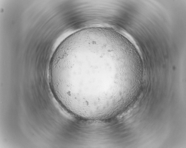 X0000088180811200706051140