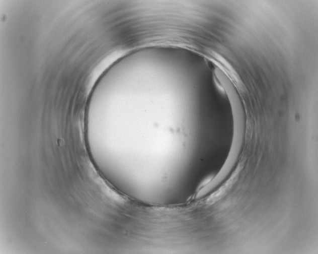 X0000088180812200706051140