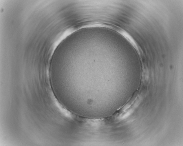 X0000088180813200706051140