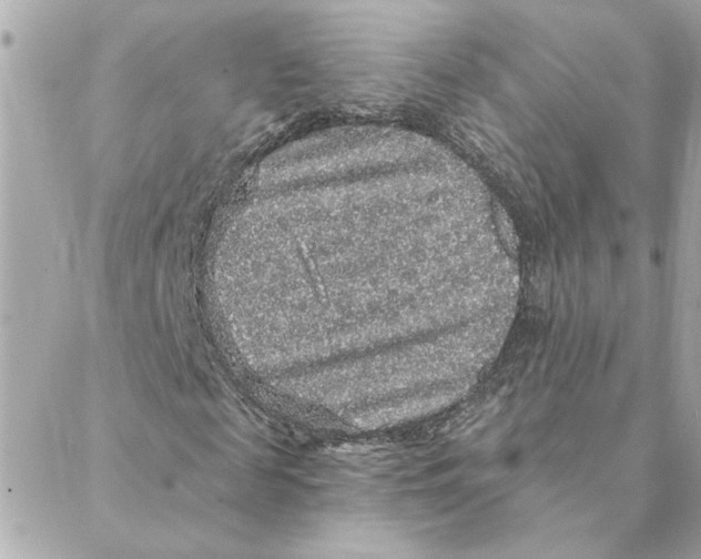 X0000088180817200706051139