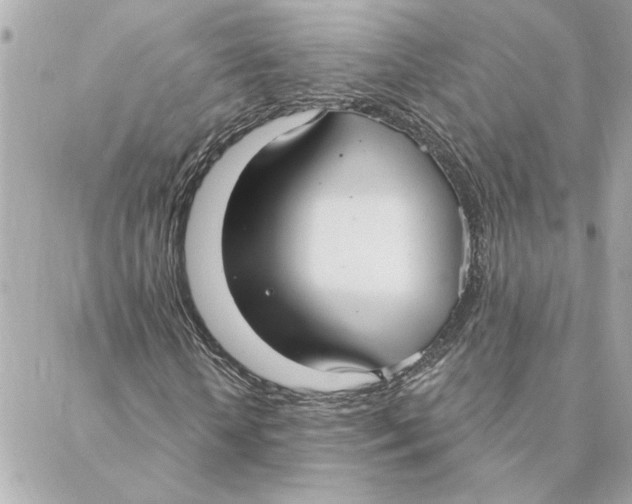 X0000088180818200706051139