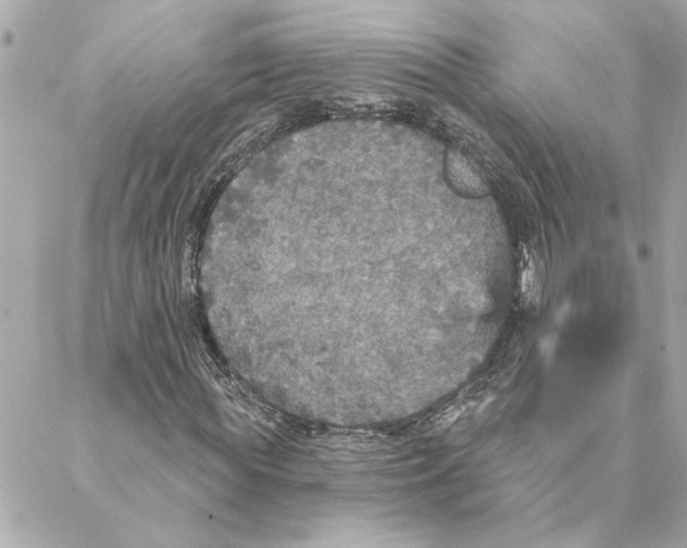 X0000088180819200706051139