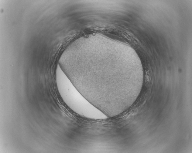 X0000088180820200706051139