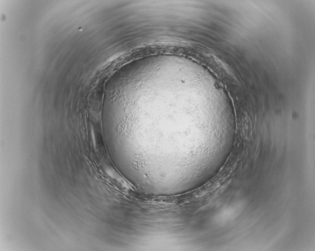 X0000088180821200706051139