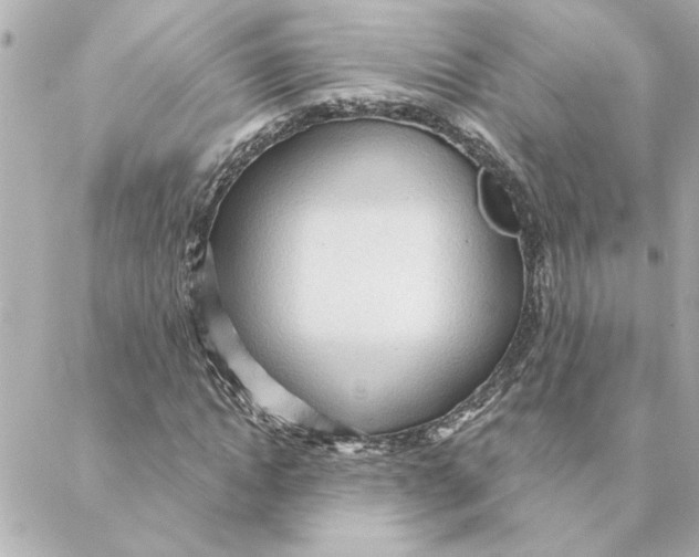 X0000088180822200706051139