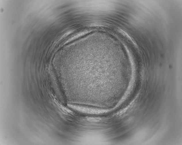 X0000088180825200706051139