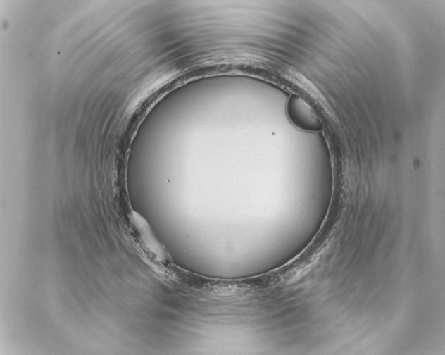 X0000088180826200706051139