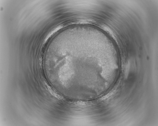 X0000088180827200706051139