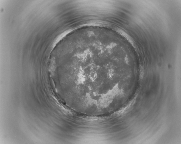 X0000088180829200706051139