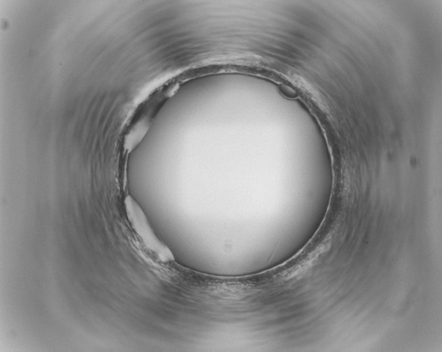 X0000088180830200706051139