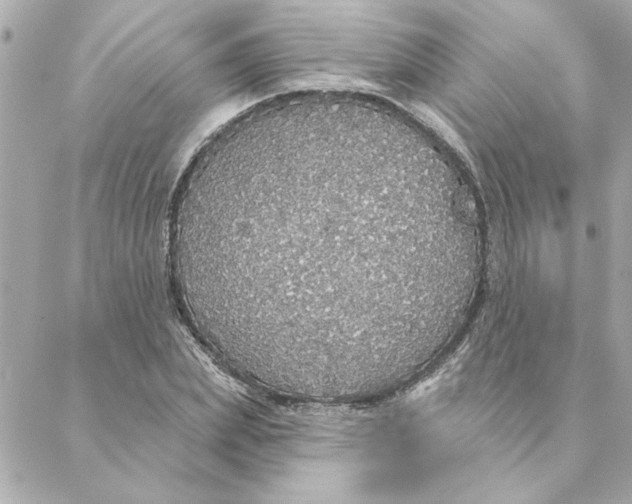 X0000088180831200706051139