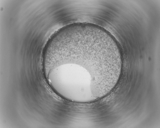 X0000088180832200706051139