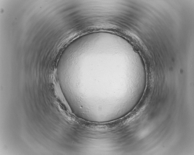 X0000088180833200706051139