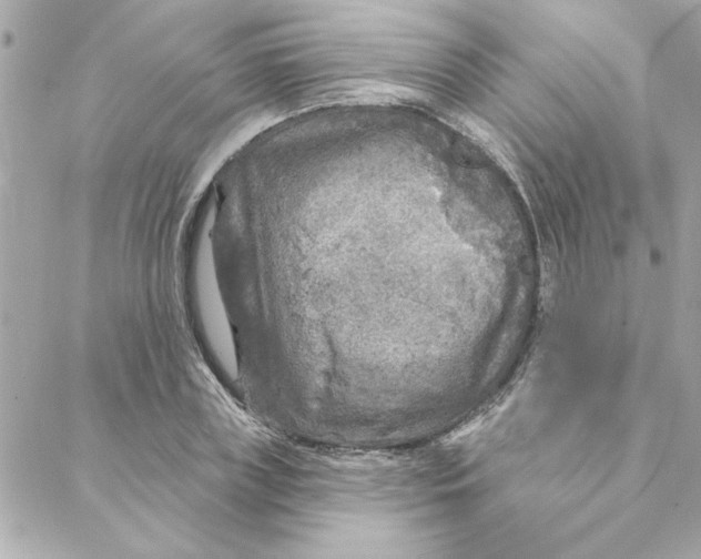 X0000088180835200706051139