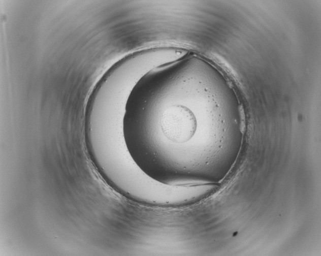 X0000088180836200706051139