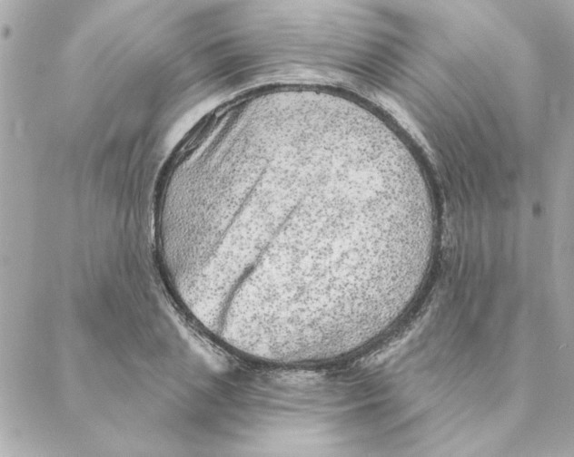 X0000088180837200706051139