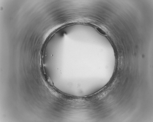 X0000088180838200706051139