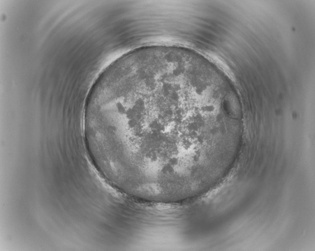 X0000088180839200706051139