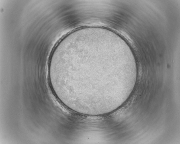 X0000088180840200706051139