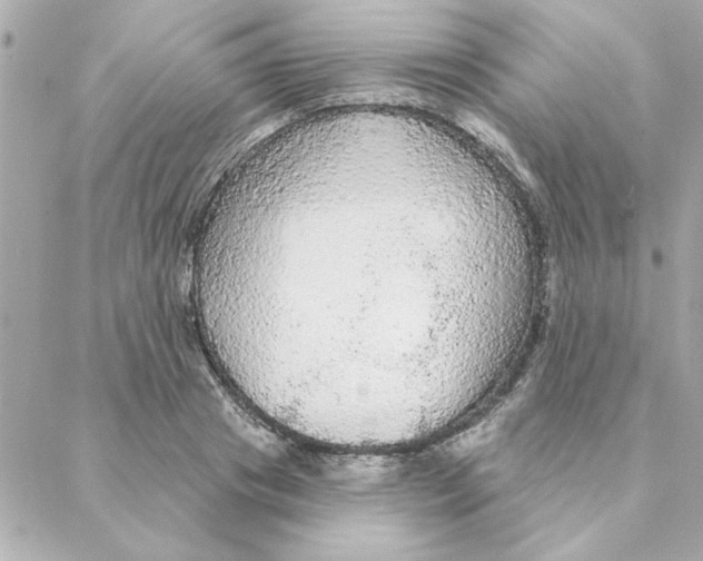 X0000088180841200706051139