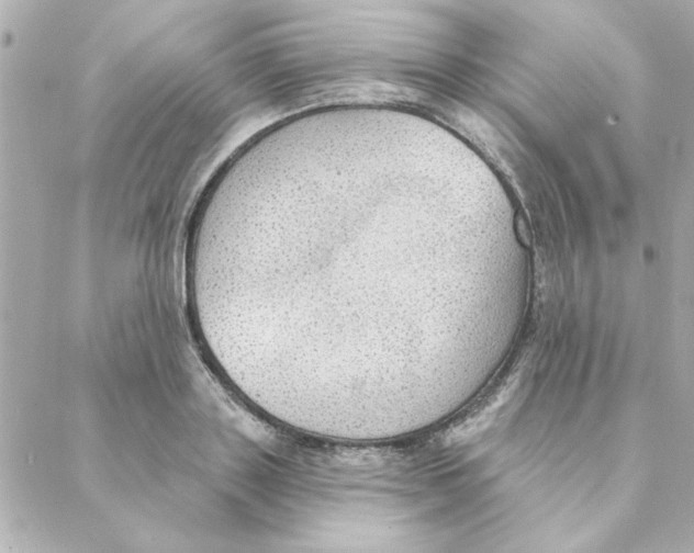 X0000088180843200706051139