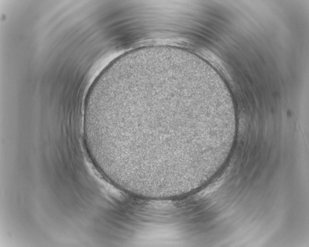 X0000088180844200706051140