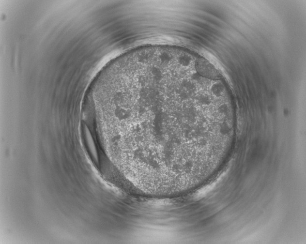 X0000088180845200706051140