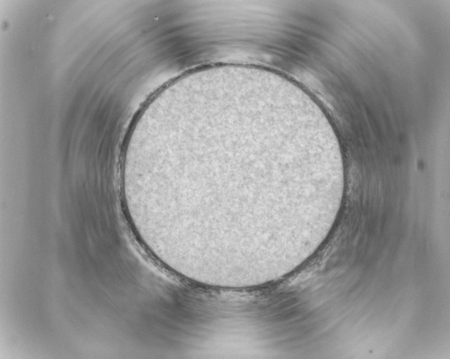 X0000088180848200706051140