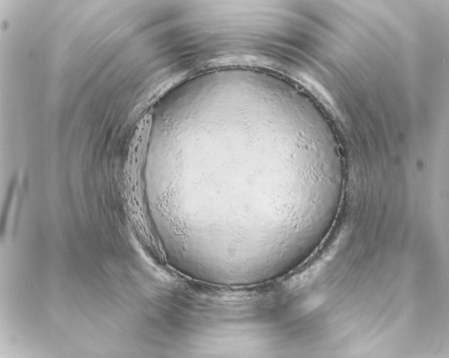 X0000088180849200706051140