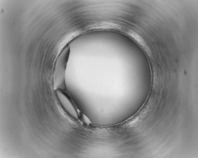 X0000088180850200706051140