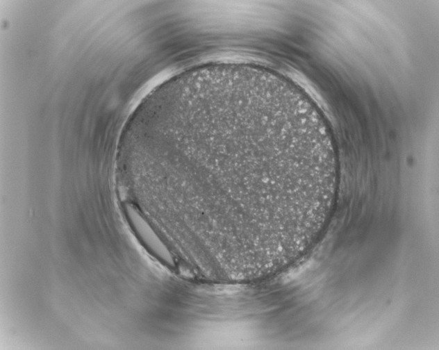 X0000088180853200706051140