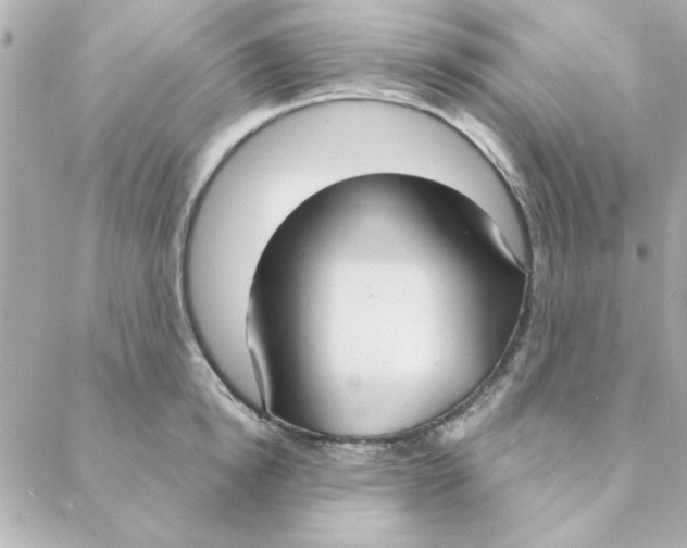 X0000088180854200706051140