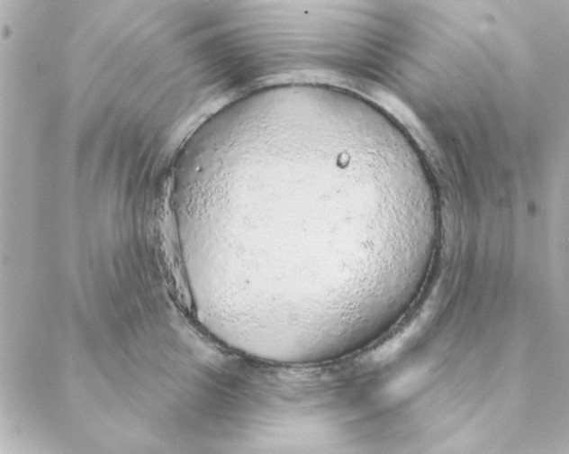 X0000088180857200706051140