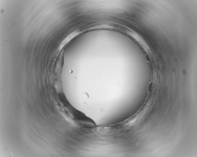 X0000088180858200706051140