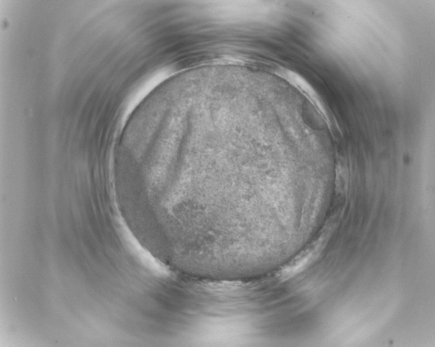 X0000088180859200706051140