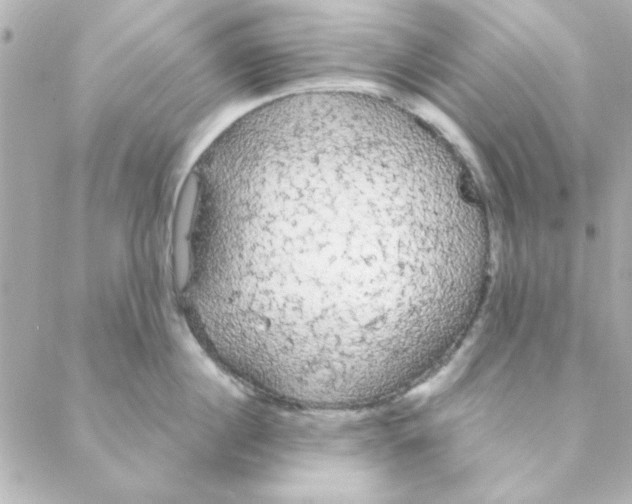 X0000088180860200706051140