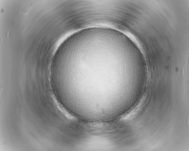 X0000088180862200706051140