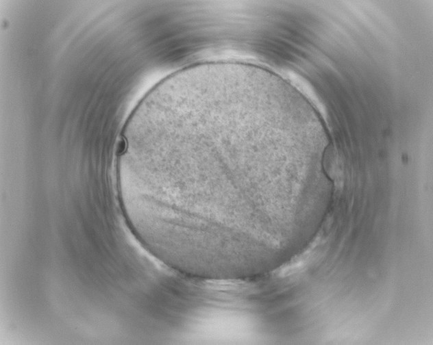 X0000088180863200706051140