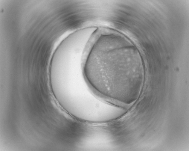 X0000088180864200706051140