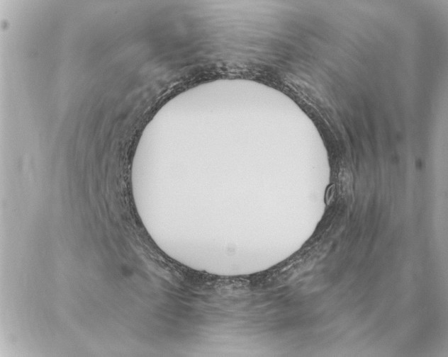 X0000088180865200706051139