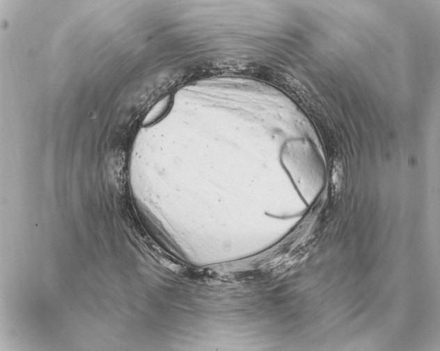 X0000088180867200706051139