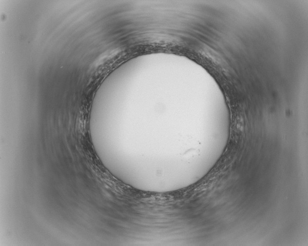 X0000088180869200706051139