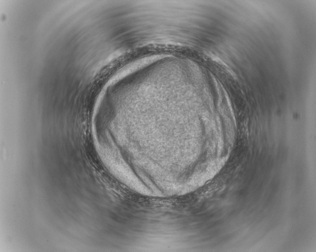 X0000088180870200706051139